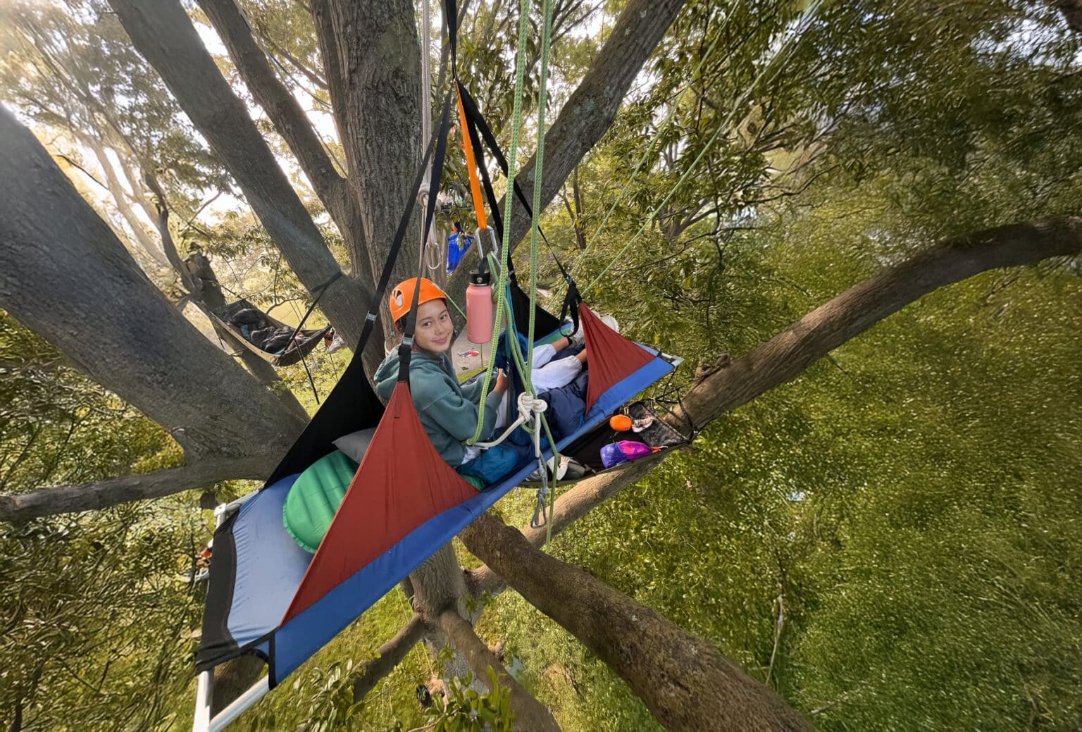 Person wearing a helmet and hoodie relaxing on a suspended portaledge high in a large tree, surrounded by thick green branches with climbing ropes and camping gear secured around them.