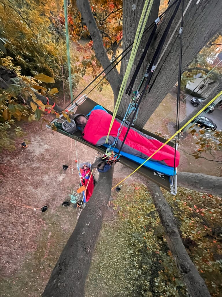 A person sleeps in a bright pink sleeping bag on a suspended portaledge high in a tree, secured with ropes and climbing gear. Another climber is visible lower on the trunk, managing ropes and equipment. Autumn leaves surround the scene, creating a colorful canopy above the forest floor.